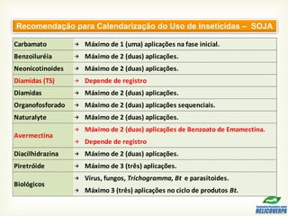 Recomendação para Calendarização do Uso de Inseticidas – SOJA
→
→
→
→
→
→
→
→
→ Depende de registro
→
→
→
→
Diacilhidrazina Máximo de 2 (duas) aplicações.
Vírus, fungos, Trichogramma, Bt e parasitoides.
Piretróide Máximo de 3 (três) aplicações.
Biológicos
Máximo 3 (três) aplicações no ciclo de produtos Bt.
Avermectina
Naturalyte Máximo de 2 (duas) aplicações.
Máximo de 2 (duas) aplicações de Benzoato de Emamectina.
Carbamato Máximo de 1 (uma) aplicações na fase inicial.
Neonicotinoides Máximo de 2 (duas) aplicações.
Organofosforado
Benzoiluréia Máximo de 2 (duas) aplicações.
Diamidas (TS)
Diamidas
Depende de registro
Máximo de 2 (duas) aplicações.
Máximo de 2 (duas) aplicações sequenciais.
 