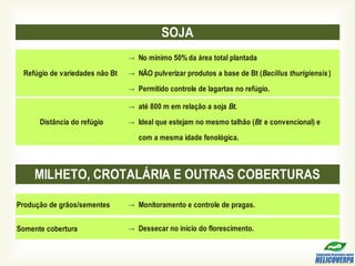 →
→
→
→
→
SOJA
Refúgio de variedades não Bt
Ideal que estejam no mesmo talhão (Bt e convencional) e
com a mesma idade fenológica.
até 800 m em relação a soja Bt.
Distância do refúgio
No mínimo 50% da área total plantada
NÃO pulverizar produtos a base de Bt (Bacillus thurigiensis )
Permitido controle de lagartas no refúgio.
Produção de grãos/sementes → Monitoramento e controle de pragas.
Somente cobertura →
MILHETO, CROTALÁRIA E OUTRAS COBERTURAS
Dessecar no início do florescimento.
 