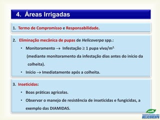 4. Áreas Irrigadas
1. Termo de Compromisso e Responsabilidade.
3. Inseticidas:
• Boas práticas agrícolas.
• Observar o manejo de resistência de inseticidas e fungicidas, a
exemplo das DIAMIDAS.
2. Eliminação mecânica de pupas de Helicoverpa spp.:
• Monitoramento  Infestação  1 pupa viva/m2.
(mediante monitoramento da infestação dias antes do início da
colheita).
• Início  Imediatamente após a colheita.
 