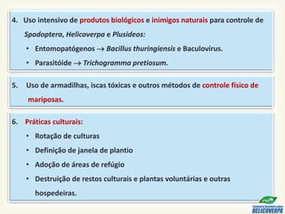 6. Práticas culturais:
• Rotação de culturas
• Definição de janela de plantio
• Adoção de áreas de refúgio
• Destruição de restos culturais e plantas voluntárias e outras
hospedeiras.
5. Uso de armadilhas, iscas tóxicas e outros métodos de controle físico de
mariposas.
4. Uso intensivo de produtos biológicos e inimigos naturais para controle de
Spodoptera, Helicoverpa e Plusideos:
• Entomopatógenos  Bacillus thuringiensis e Baculovírus.
• Parasitóide  Trichogramma pretiosum.
 