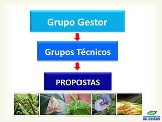 Grupos Técnicos
PROPOSTAS
Grupo Gestor
 