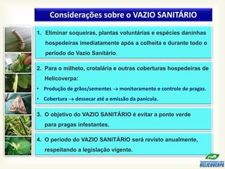 1. Eliminar soqueiras, plantas voluntárias e espécies daninhas
hospedeiras imediatamente após a colheita e durante todo o
período do Vazio Sanitário.
2. Para o milheto, crotalária e outras coberturas hospedeiras de
Helicoverpa:
• Produção de grãos/sementes  monitoramento e controle de pragas.
• Cobertura  dessecar até a emissão da panícula.
4. O período do VAZIO SANITÁRIO será revisto anualmente,
respeitando a legislação vigente.
3. O objetivo do VAZIO SANITÁRIO é evitar a ponte verde
para pragas infestantes.
Considerações sobre o VAZIO SANITÁRIO
 