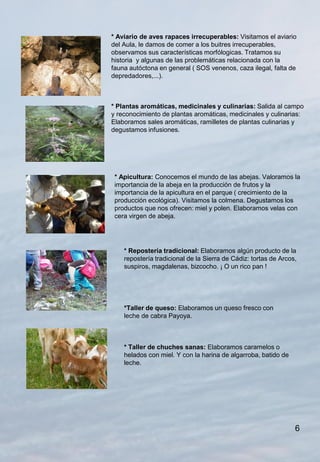 * Aviario de aves rapaces irrecuperables: Visitamos el aviario
del Aula, le damos de comer a los buitres irrecuperables,
observamos sus características morfólogicas. Tratamos su
historia y algunas de las problemáticas relacionada con la
fauna autóctona en general ( SOS venenos, caza ilegal, falta de
depredadores,...).



* Plantas aromáticas, medicinales y culinarias: Salida al campo
y reconocimiento de plantas aromáticas, medicinales y culinarias:
Elaboramos sales aromáticas, ramilletes de plantas culinarias y
degustamos infusiones.




 * Apicultura: Conocemos el mundo de las abejas. Valoramos la
 importancia de la abeja en la producción de frutos y la
 importancia de la apicultura en el parque ( crecimiento de la
 producción ecológica). Visitamos la colmena. Degustamos los
 productos que nos ofrecen: miel y polen. Elaboramos velas con
 cera virgen de abeja.




    * Repostería tradicional: Elaboramos algún producto de la
    repostería tradicional de la Sierra de Cádiz: tortas de Arcos,
    suspiros, magdalenas, bizcocho. ¡ O un rico pan !




    *Taller de queso: Elaboramos un queso fresco con
    leche de cabra Payoya.



    * Taller de chuches sanas: Elaboramos caramelos o
    helados con miel. Y con la harina de algarroba, batido de
    leche.




                                                                 6
 