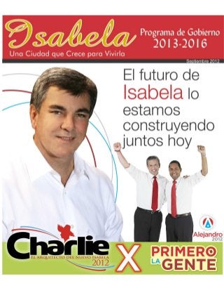 Programa Gobierno Charlie Delgado Altieri 2013-2016