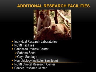ADDITIONAL RESEARCH FACILITIES




 Individual Research Laboratories
 RCMI Facilities
 Caribbean Primate Center
  Sabana Seca
  Cayo Santiago
 Neurobiology Institute (San Juan)
 RCMI Clinical Research Center
 Cancer Research Center
 