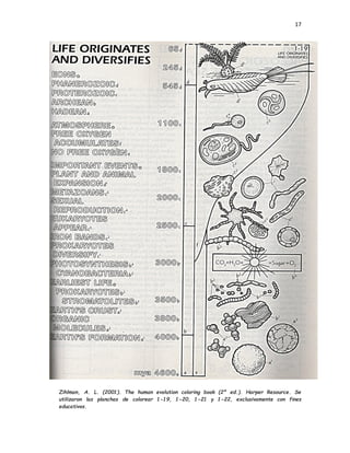 17
Zihlman, A. L. (2001). The human evolution coloring book (2ª ed.). Harper Resource. Se
utilizaron las planchas de colorear 1-19, 1-20, 1-21 y 1-22, exclusivamente con fines
educativos.
 
