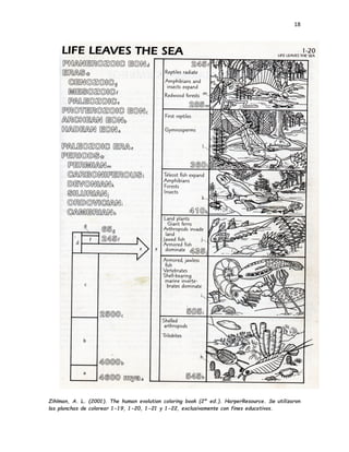 18
Zihlman, A. L. (2001). The human evolution coloring book (2ª ed.). HarperResource. Se utilizaron
las planchas de colorear 1-19, 1-20, 1-21 y 1-22, exclusivamente con fines educativos.
 