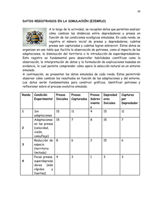 34
DATOS REGISTRADOS EN LA SIMULACIÓN (EJEMPLO)
A lo largo de la actividad, se recopilan datos que permiten analizar
cómo cambian las dinámicas entre depredadores y presas en
función de las condiciones ecológicas simuladas. En cada ronda, se
registra el número inicial de presas y depredadores, cuántas
presas son capturadas y cuántas logran sobrevivir. Estos datos se
organizan en una tabla que facilita la observación de patrones, como el impacto de las
adaptaciones, la disminución del territorio o la introducción de superdepredadores.
Este registro es fundamental para desarrollar habilidades científicas como la
observación, la interpretación de datos y la formulación de explicaciones basadas en
evidencia, lo cual permite comprender cómo opera la selección natural en un entorno
simulado.
A continuación, se presentan los datos simulados de cada ronda. Estos permitirán
observar cómo cambian los resultados en función de las adaptaciones y del entorno.
Los datos serán fundamentales para construir gráficos, identificar patrones y
reflexionar sobre el proceso evolutivo simulado.
Ronda Condición
Experimental
Presas
Iniciales
Presas
Capturadas
Presas
Sobrev
iviente
s
Depredad
ores
Iniciales
Capturas
por
Depredador
1 Sin
adaptaciones
15 11 4 15 11
2
Adaptaciones
en las presas
(velocidad,
visión,
camuflaje)
15 7 8 15 7
3
Reducción de
espacio
(territorio
limitado)
8 6 2 15 6
4
Pocas presas,
superdepreda
dores (más
rápidos y
fuertes)
4 3 1 3 3
 