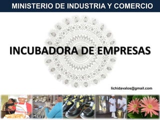 INCUBADORA DE EMPRESAS
MINISTERIO DE INDUSTRIA Y COMERCIO
lichidavalos@gmail.com
 