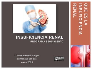 INSUFICIENCIA RENAL
PROGRAMA SEGUIMIENTO
J. Javier Blanquer Gregori
Centro Salud San Blas
enero 2023
QUE
ES
LA
INSUFICIENCIA
RENAL
 