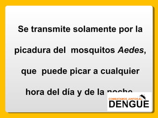 Se transmite solamente por la picadura del  mosquitos  Aedes , que  puede picar a cualquier hora del día y de la noche. 