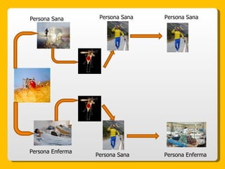 Persona Enferma Persona Sana Persona Sana Persona Enferma Persona Sana Persona Sana 