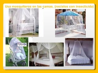 Usa mosquiteros en las camas. (rocíalos con insecticida) 