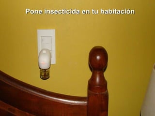 Pone insecticida en tu habitación 