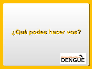 ¿Qué podes hacer vos? 