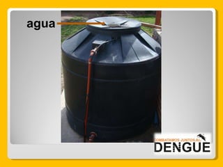 agua 