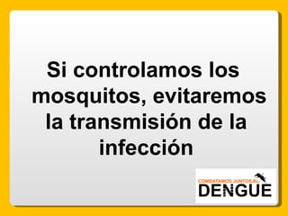 Si controlamos los  mosquitos, evitaremos la transmisión de la infección 