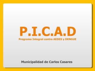 Municipalidad de Carlos Casares P.I.C.A.D Programa Integral contra AEDES y DENGUE 