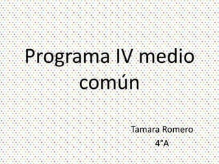 Programa IV medio
común
Tamara Romero
4°A
 