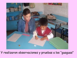 Y realizaron observaciones y pruebas a los “guaguas”
 