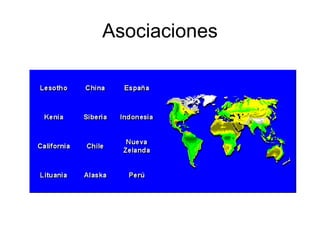Asociaciones
 