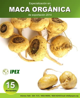 Especialización en: 
MACA ORGÁNICA 
de exportación 2014 
Informes: Teléf.: 639 -7172 / 9963-99096 / 9835-82440 Email: info@ipexperu.org 
15 Noviembre 
 