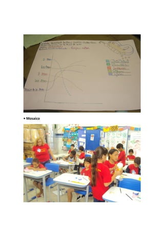 • Mosaico
 