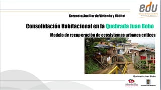 Gerencia Auxiliar de Vivienda y Hábitat


Consolidación Habitacional en la Quebrada Juan Bobo
         Modelo de recuperación de ecosistemas urbanos críticos




                                                            Quebrada Juan Bobo
 