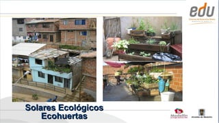 Solares Ecológicos
    Ecohuertas       Alcaldía de Medellín
 