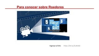 Para conocer sobre Roedores
https://bit.ly/3LdKvBZ
Ingresar al link:
 
