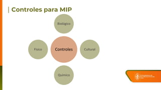Controles
Biológico
Cultural
Químico
Fisico
 