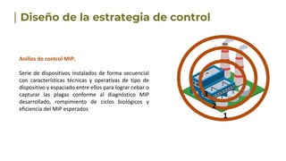 Anillos de control MIP:
Serie de dispositivos instalados de forma secuencial
con características técnicas y operativas de tipo de
dispositivo y espaciado entre ellos para lograr cebar o
capturar las plagas conforme al diagnóstico MIP
desarrollado, rompimiento de ciclos biológicos y
eficiencia del MIP esperados
1
2
3
 