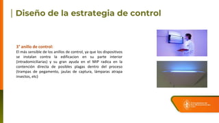 3° anillo de control:
El más sensible de los anillos de control, ya que los dispositivos
se instalan contra la edificacion en su parte interior
(intradomiciliarias) y su gran ayuda en el MIP radica en la
contención directa de posibles plagas dentro del proceso
(trampas de pegamento, jaulas de captura, lámparas atrapa
insectos, etc)
 