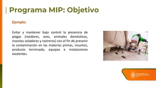 Evitar y mantener bajo control la presencia de
plagas (roedores, aves, animales domésticos,
insectos voladores y rastreros) con el fin de prevenir
la contaminación en las materias primas, insumos,
producto terminado, equipos e instalaciones
existentes.
Ejemplo:
 