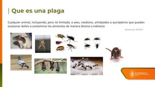Cualquier animal, incluyendo, pero no limitado, a aves, roedores, artrópodos o quirópteros que puedan
ocasionar daños o contaminar los alimentos de manera directa o indirecta
Resolución 2674/13
 