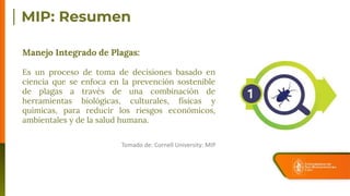 Manejo Integrado de Plagas:
Es un proceso de toma de decisiones basado en
ciencia que se enfoca en la prevención sostenible
de plagas a través de una combinación de
herramientas biológicas, culturales, físicas y
químicas, para reducir los riesgos económicos,
ambientales y de la salud humana.
Tomado de: Cornell University: MIP
 