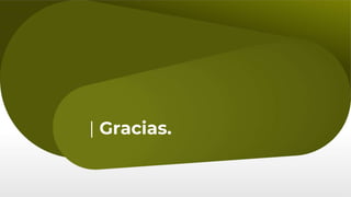 Programa MIP slideshare.pptx