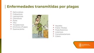 • Salmonelosis
• Colibacilosis
• Leptospirosis
• Clamidiosis
• Peste
• Tifus
• Toxoplasmosis
• Erlichiosis (Pulgas)
• Gastroenteritis
• Hepatitis
• Fiebre Tifoidea
• Peste Bubónica
• Listeriosis
• Campilobacteriosis
• Cólera
 
