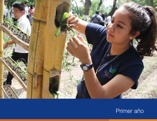 Primer año
 