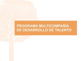 Programa multicompañía 2016