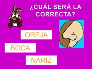 OREJA
BOCA
       NARIZ
 