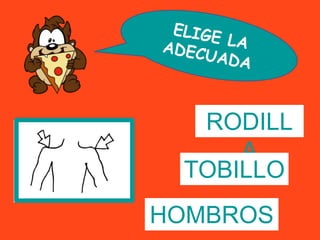 RODILL
     A
 TOBILLO
HOMBROS
 