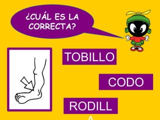 ¿CUÁL ES LA
 CORRECTA?


       TOBILLO

              CODO
        RODILL
 