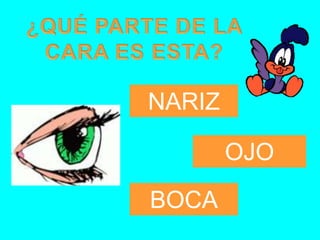 NARIZ

        OJO
BOCA
 