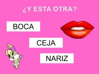 BOCA

       CEJA

        NARIZ
 