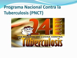 Programa Nacional Contra la
Tuberculosis (PNCT)
 