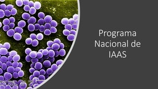 Programa
Nacional de
IAAS
 