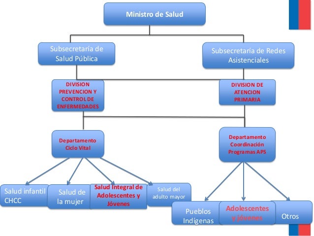 Programa nacional de salud integral de adolescentes y jóvenes chile.…