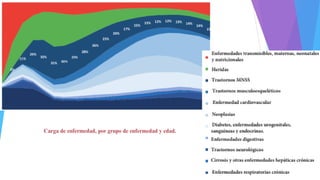 Carga de enfermedad, por grupo de enfermedad y edad.
 