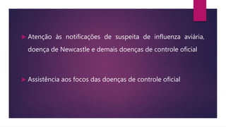  Atenção às notificações de suspeita de influenza aviária,
doença de Newcastle e demais doenças de controle oficial
 Assistência aos focos das doenças de controle oficial
 